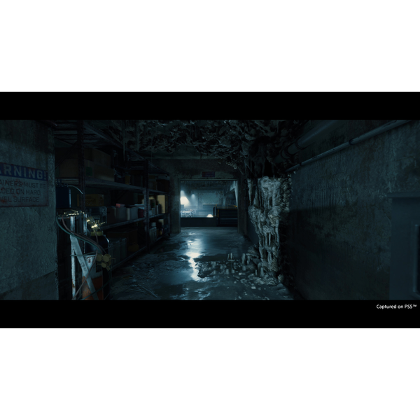 Death Stranding Director's Cut PC Download