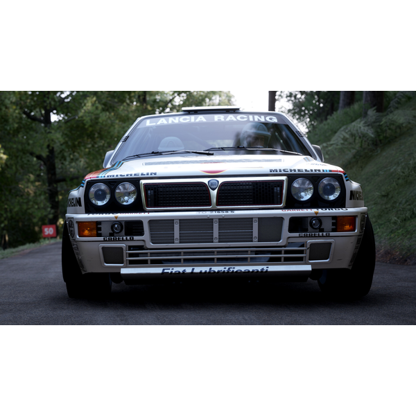 Assetto Corsa Rally (ROW) 