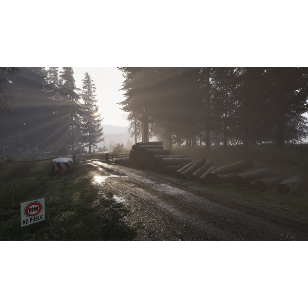 Assetto Corsa Rally (ROW) 